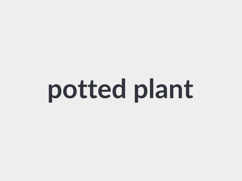 Plants